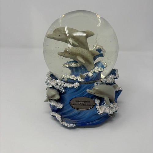 Cadona mystic aquarium raro - mystic,