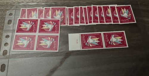 Onu ginevra mnh scott - onu, 8