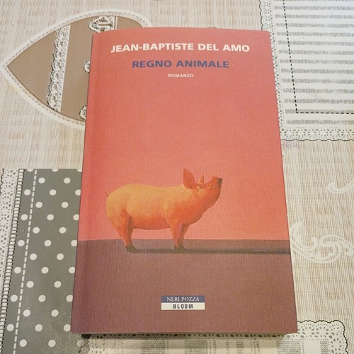 Jean baptiste del amo regno - amo,