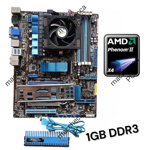 Kit scheda madre - madre, asus