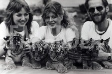 Foto vintage UK, Ragazzi con 5 cuccioli di tigre, stampa 21x15 cm