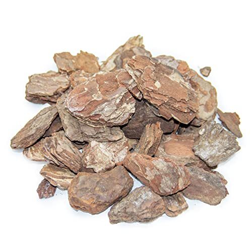 Clorophilla bark per - , orchidee