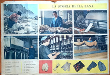 LA STORIA DELLA LANA - Tavola