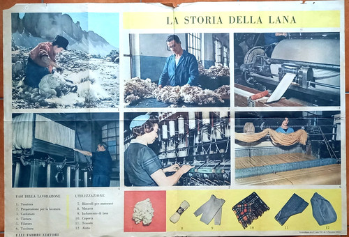 Storia della lana - storia,