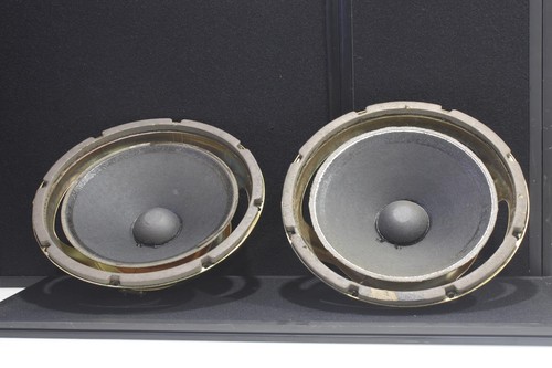 Bose woofer 113899 da - 2x, 10"