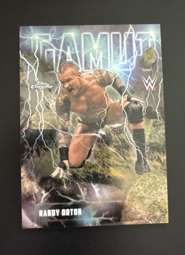 Randy orton gamut case hit - case, ssp