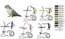 Pettorina pappagalli CACATUA SANGUINEA FIBBIE RAPIDE PLASTICA O METALLO 12C