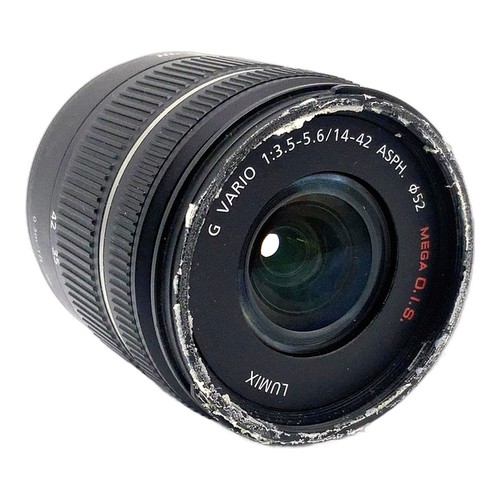 Panasonic lumix vario - g,