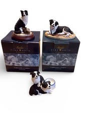 Border Fine Arts Collie Dog &