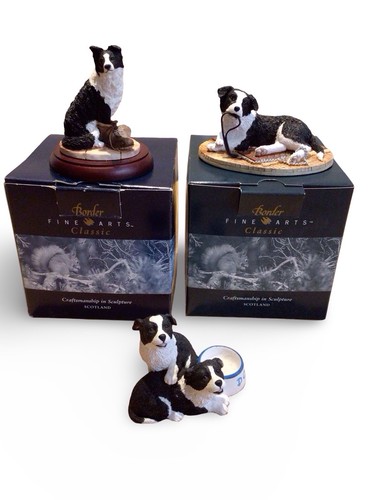 Border fine arts - dog, &