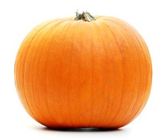 10 semi Zucca Halloween