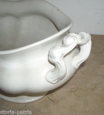 Antica decorativa - antica,