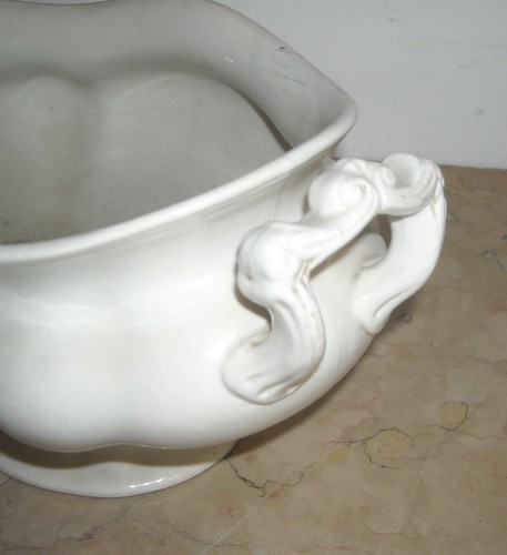 Antica decorativa - antica,