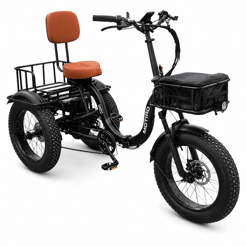 Triciclo elettrico fatbike