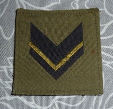 Gradi Pettorali adesivi