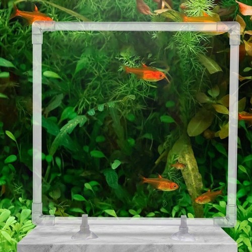 Corallo per piante acquario - da,