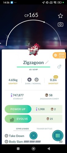 Galar zigzagoon shiny xxs - galar,