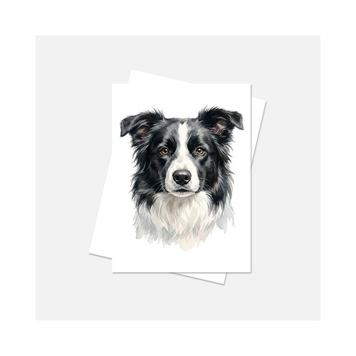 Border collie biglietti per - border,
