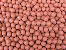 Boilies farina di pesce