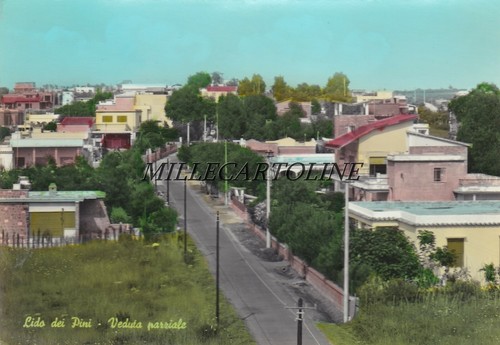 Lido dei pini veduta - lido,