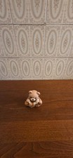 Thun teddy 2026