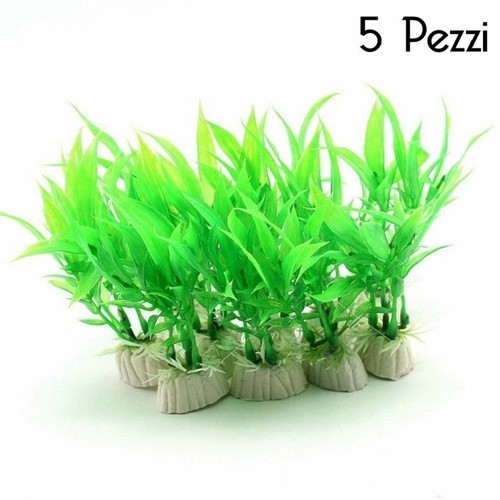 Set pianta cm piantina - 12,
