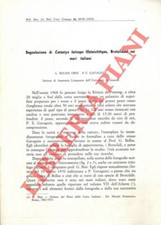 RELINI ORSI L. - GAVAGNIN P