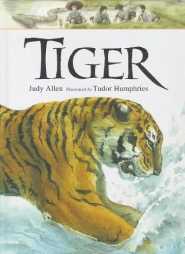 Tiger judy - tiger, (animals