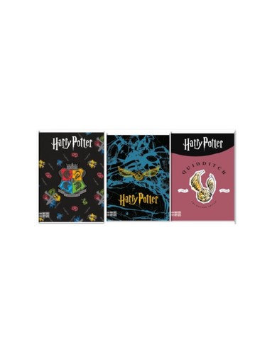 Set quaderni maxi harry - set,
