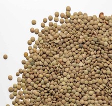 19 Kg Lenticchie Biologiche