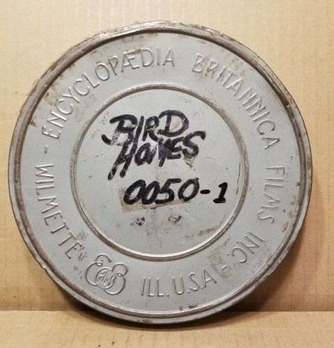 16mm film bird - film:, homes