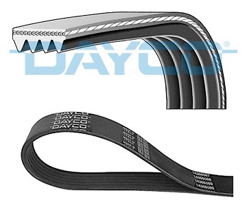 4pk788 cinghia ausiliare - cinghia, poly