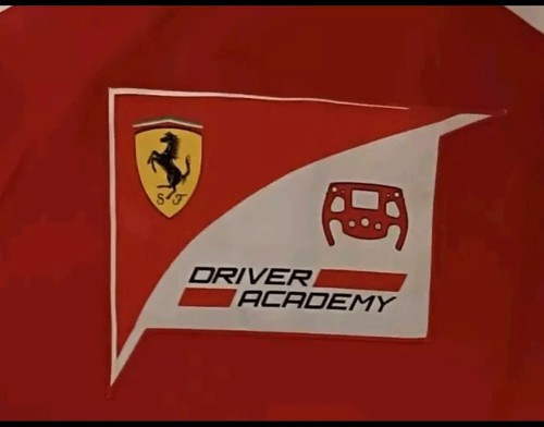 Ferrari driver academy - f1,