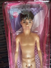 Barbie Ken Fashionistas HBV24