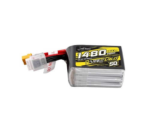 Gens ace tattu lipo - ace,