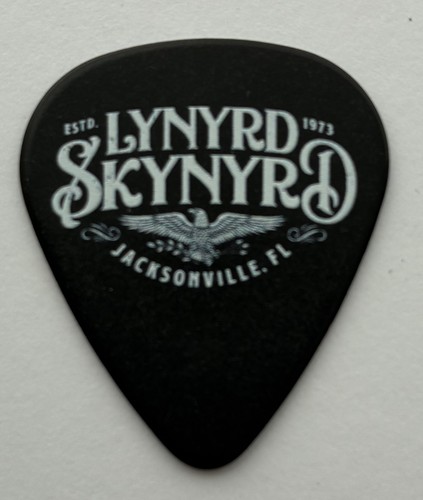 Lynyrd skynyrd guitar - guitar, pick