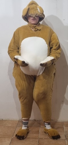 Mascotte costume orso - mascotte,