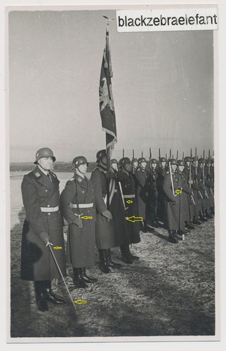 1421 ww2 foto - 1421, con