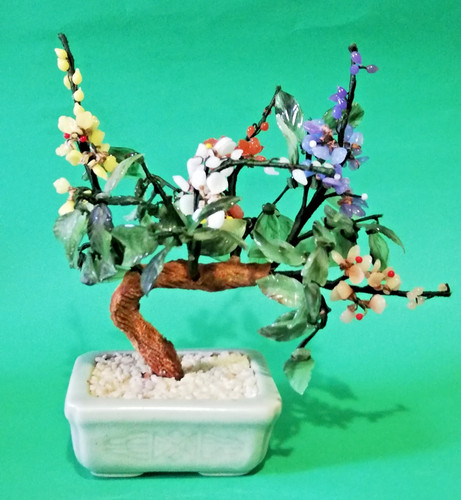 Bonsai cinese fiori foglie - cinese,