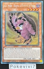 Carte YU-GI-OH! AILE NOIRE -