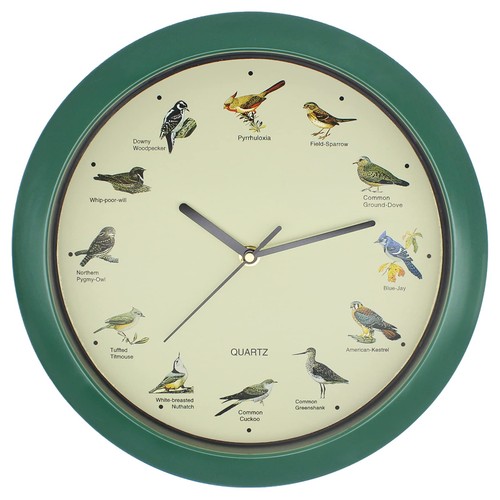 Orologio parete uccellino - orologio,