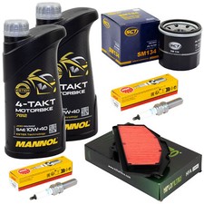 Olio 2L Manutenzione per