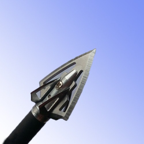 Punte caccia black - punte,
