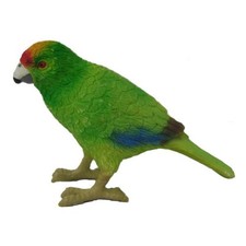 Parrocchetto Corona Gialla