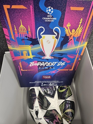 Pallone ufficiale uefa - ufficiale,