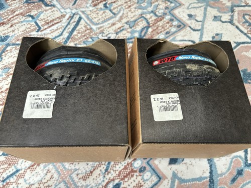Coppia wtb nano raptor - wtb, 2.1
