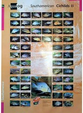 AQUALOG: Poster Cichlids 2 (Geophagus/Eartheaters) LAMINATED