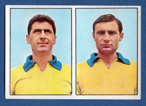 Figurina calciatori panini - figurina,