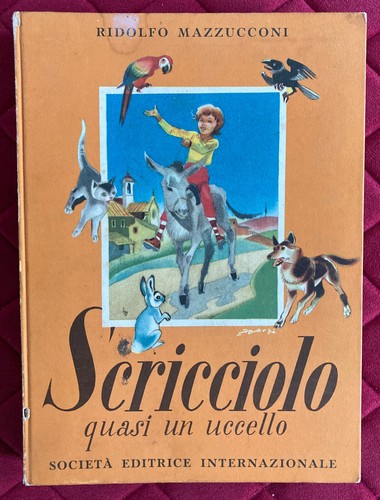 Scricciolo mazzucconi - scricciolo,