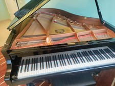 Pianoforte a coda Yamaha C2x